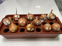 Зимняя сказка на подоконнике: выращиваем лук с удовольствием